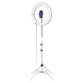765 Auction Hub Llc 810020193398 Glamcor Galileo Portable Ring Light Kit 18 Foldable Led With 2 700k