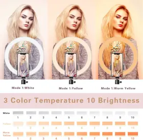 Aixpi 696567514014 Dimmable Desk Makeup Led Ring Light 10 Inch With Tripod Stand And Phone Holder For 3