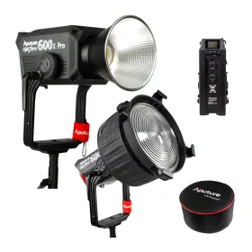 Als600xproaus Aputure Light Storm 600x Pro A Mount With Fresnel And Barndoors Bundle