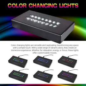 Ru-efgv-44ww Asente 16 Led Color Changing Light Base For Glass Art - Black Lacquer Double Line Le #2