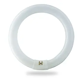 B07yn4w814 Bulbmaster Fc8t9/ww 22w 8 Inch Round T9 Fluorescent Circular Light Bulb 3000k 980 Lu