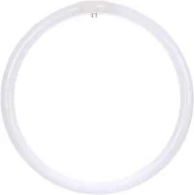 B0c827qpcc Bulbmaster Fc16t9/cw 40 Watts 16 Inch Round Fluorescent T9 Circular Light Bulb