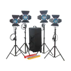 J6232 Came-tv Fresnel Tungsten Video Spot 4-light Kit 2x 650w 300w #j6232