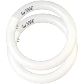 B0ct4qd7qw Chkadawa Fcl30/30k Circular Fluorescent Light Bulbs T9 9 Inch 30 Watts Round Fc