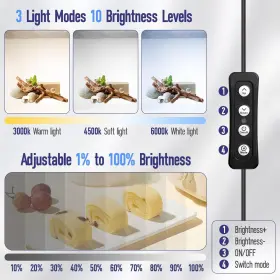 Em-lb-24 Emart Light Box Photography 24 Inch X24 3000k-7000k Dimmable Photo Booth With 5 #2