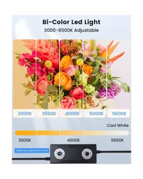 Lb24 Fasonic 24 Inch X24 Photo Studio Light Box For Photography Foldable Bi-color Dimmable Sh #3