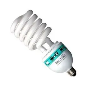 Kaezi Photography 845484005321 85 Watt Studio Light Bulb 5500k Cfl Day