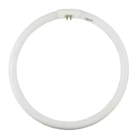 Fct5-32w-cw Norman Lamps B00bclfj3e 4100k 32w T5 Circular Fluorescent Cool White