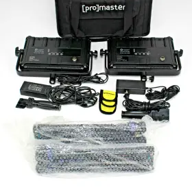 Ltpp1000b2lk Promaster Led1000b Specialist Led 2 Light Transport Kit - 401 #2