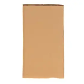 Raleno 810112231557 16x16 Softbox Lighting Kit 2 Studio Lights 5500k Led Video And Photo Shooting #2