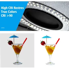 Slow Dolphin 738630653845 Photo Studio Light Box 12 Inch /30cm Portable Folding Ring Photography Shoo #3