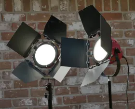 401631 Smith-victor 2 Led Ladybug Lights With Dimmable Power Supply Working See Pics
