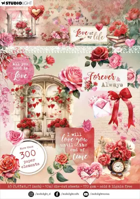 5a002gqp-1gj9g Studio Light 2 Pack Frozen Flowers Die-cut Paper Pad 5.83 Inch X8.26 -nr. 273 Element
