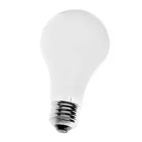 1000024 Ushio 048777101476 Bah 300w 115v A21 Frosted Incandescent Lamp