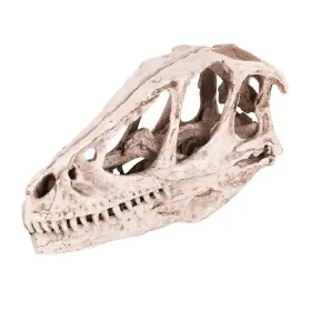 Watris Veiyi Veiyimq1e0sfkca Dinosaur Skull Sculpture Resin Material Lifelike Decor For Hom