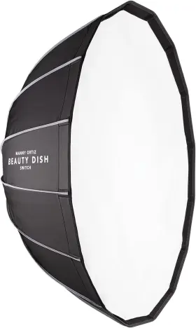 2547 Westcott Beauty Dish Switch 36 Inch White Interior