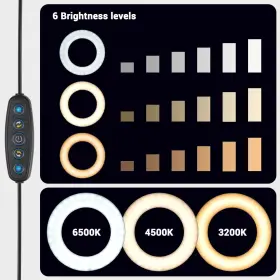Xcceries 767571306725 2x 7 Inch Dual Led Ring Light 4 Tripod Stand For Makeup Video Live Vlog Influencer #3