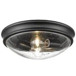 Millennium Lighting 5228 Black 2-LIGHT 12"W Flush Mount Ceiling Fixture. Fixed Price $87.92.
