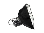 Lowel Rifa-light 55 W/ Bulb & Power Cable. Fixed Price $35.00.