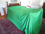 Large Unused Ls Studio Muslin Green Backdrop Screen Item PL20G - 10" X 19' 6". Fixed Price $25.00.