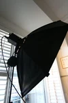 Ledraptor Soft Light Umbrella Kit 500W Bi-color + DT20-BI Ballast With Dmx. Fixed Price $3903.06.