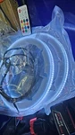Usa Stock!!! 2-8 Inch Sub Rings Led W/ Remote Control Dynasty Rgb Lighting. Fixed Price $190.00.