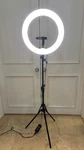 19" Inch Ring Light Led With Stand Adjustable Color Temperature 3000-5800K. Fixed Price $25.00.