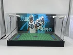 Julius Peppers Panthers Custom 2-3 Card Psa Display Case W/ Led Lights. Fixed Price $150.00.