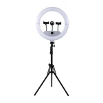 Vivitar V18RLRGBFLD Creator Series 18" Foldable Led Ring Light Kit,. Fixed Price $47.00.