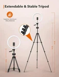 Taotronics CL027 12" Ring Light With Color Modes 61 Tripod Stand LED35. Fixed Price $24.99.