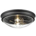 Millennium Lighting 5228 Black 2-LIGHT 12"W Flush Mount Ceiling Fixture. Fixed Price $75.00.