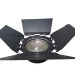 Nanlite FL-20G Focusable Fresnel Lens Metal Barn Doors Bowens Mount In Case. Fixed Price $320.00.