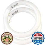 Chkadawa FCL30/30K Circular Fluorescent Light Bulbs T9 Inch Watts, Round. Fixed Price $34.48.