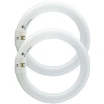 Bulbmaster FC8T9/CW 22W 8" Round Fluorescent Circular Light Bulb, Cool White. Fixed Price $40.10.