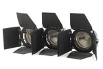 Arrilite 1000 Tungsten Light Studio Kit W/ Barndoors Case Tested From Japan. Fixed Price $435.00.