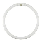 FCT5-32W-CW Cool-white 4100K Watts: 32W, Type: Circular Fluorescent, Color. Fixed Price $24.95.