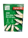 Home Accents Holiday 100L Led Smooth Mini Light 1: 5 Twinkle Warm White. Fixed Price $14.95.
