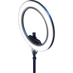 Elgato Ring Light, 2.36 Lb. Fixed Price $139.99.