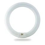FC8T9/D 22W 8IN Circline Fluorescent Bulb G10Q 4-PIN 980 Lumens 6500K Ceiling. Fixed Price $25.99.